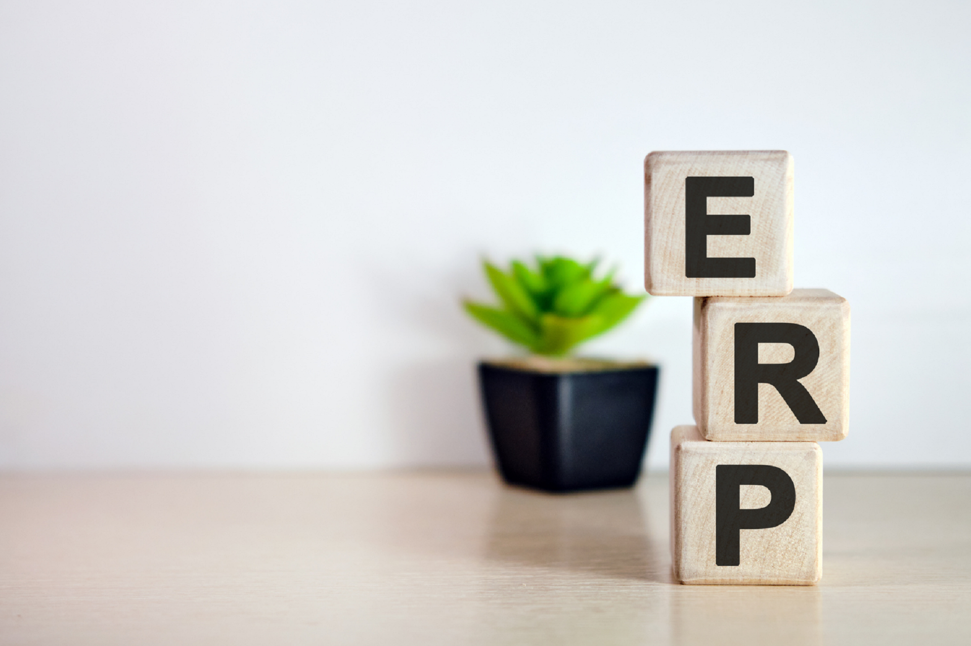 https://www.sortebilisim.com/wp-content/uploads/2024/08/erp.png